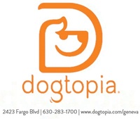 Dogtopia Geneva