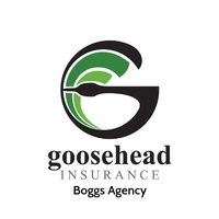 Goosehead Insurance-Nicole Hopkins