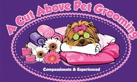 A Cut Above Pet Grooming