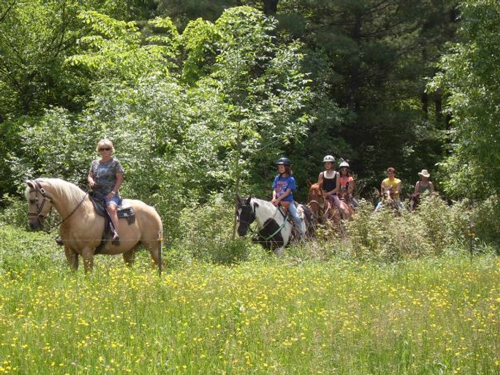 Horseback Trail Rides