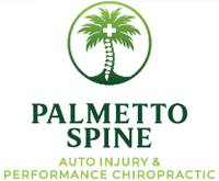 Palmetto Spine Auto Injury & Performance Institute