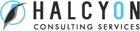 Halcyon Services Inc