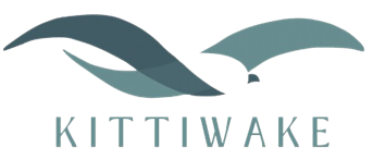 Kittiwake Kittiwake