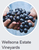 Wellsona Estate Vineyard