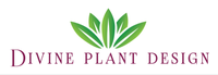 Divine Plant Design, Inc.