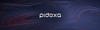 PiDoxa Tech Solutions