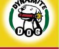 Dynamite Dog