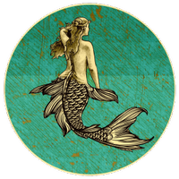 WIld Mermaid & Seagull Lounge WIld Mermaid & Seagull Lounge