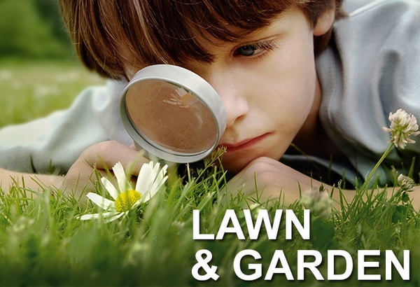 Gallery Image lawn_garden_homepage.jpg