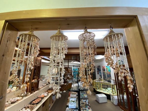Gallery Image RockandShells.jpg Gallery Image RockandShells.jpg