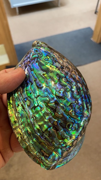 Gallery Image RocksandShells9.jpeg Gallery Image RocksandShells9.jpeg