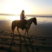 Image result for bandon beach riding stables