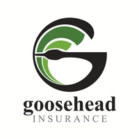 Blaine Brawley - Goosehead Insurance