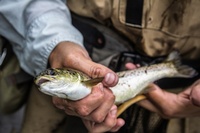 Gallery Image Fishing-in-Vermont-for-salmon.jpg Gallery Image Fishing-in-Vermont-for-salmon.jpg