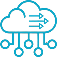 My Digital Media Team