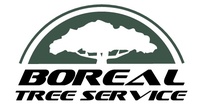 BOREAL TREE SERVICE