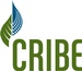 Centre for Research & Innovation in the Bio Economy (CRIBE)