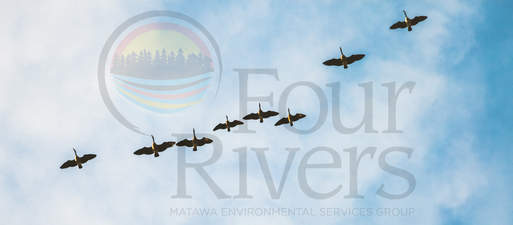 Four Rivers Group