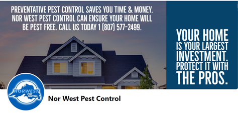 Norwest Pest Control