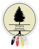 Mitigoog Solutions Inc.