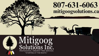 Mitigoog Solutions Inc.