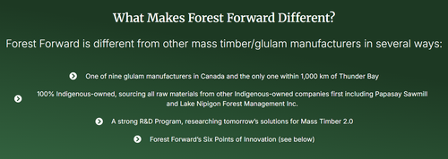Gallery Image Forest%20Forward%20pic%201.png Gallery Image Forest%20Forward%20pic%201.png