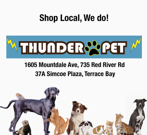 Gallery Image thunder%20pet%20pic%201.png