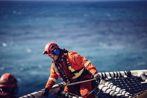 Gallery Image cenovus_searose_sept2022-473d.jpg