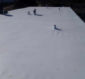 Gallery Image Screenshot%202025-10-10%20143850.jpg