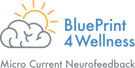 BluePrint 4 Wellness, LLC