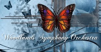 The Woodlands Symphony Orchestra