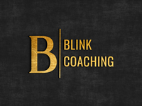 Blink & Company, LLC