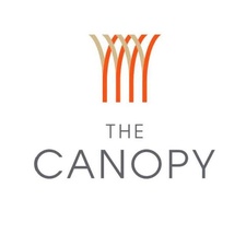 The Canopy at Springwoods Village