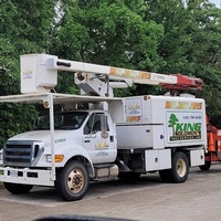 King Solomons Tree Service