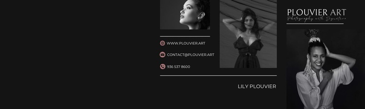Plouvier Art