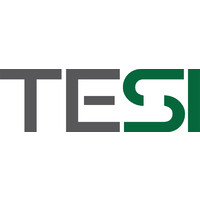 Tesi Group LLC