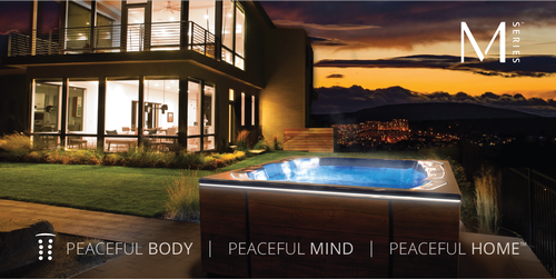 Gallery Image SS%202.png