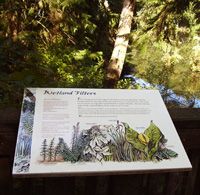 Grays Harbor College, Lake Swano Nature trail sign (1 of 14)