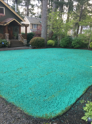 Gallery Image Screenshot%202026-02-17%20144945.png