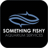 Something Fishy, Inc.