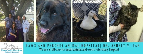 Paws and Perches Animal Hospital