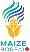 Maize Boreal Corporation