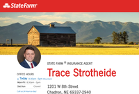 State Farm Insurance, Trace Strotheide
