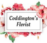 Coddington's Florist
