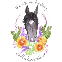 Equine Healing Collaborative