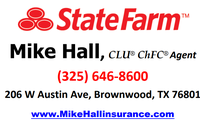 State Farm Insurance - Mike Hall Agent
