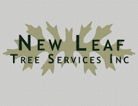 New Leaf Tree Services Inc.