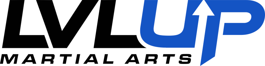 LVLUP Martial Arts Verona