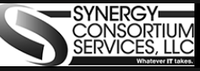 Synergy Consortium Services