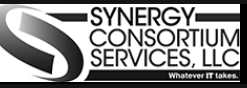 Synergy Consortium Services